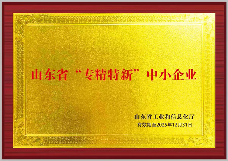 Specialized and innovative enterprise